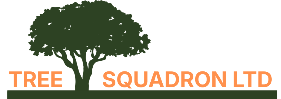 Client business logo